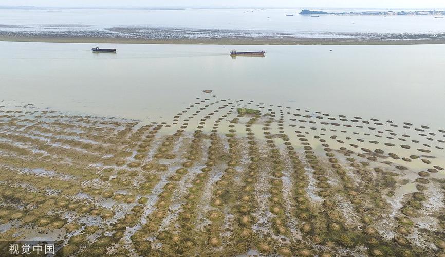 鄱阳湖水位跌破10米，江西湖口水域滩涂大面积裸露, 你怎么看「鄱阳湖结束枯水期」 雅迪电动车